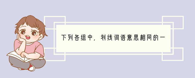 下列各组中，划线词语意思相同的一项是[]A、大亡其财——亡而入胡B、故时有